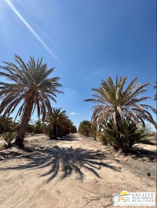 Photo of Listing #25543891PS