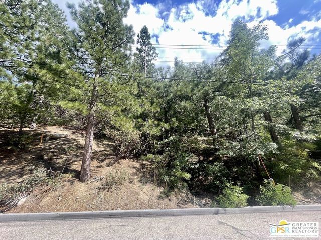 6011 Mountain Home Creek Road, Angelus Oaks