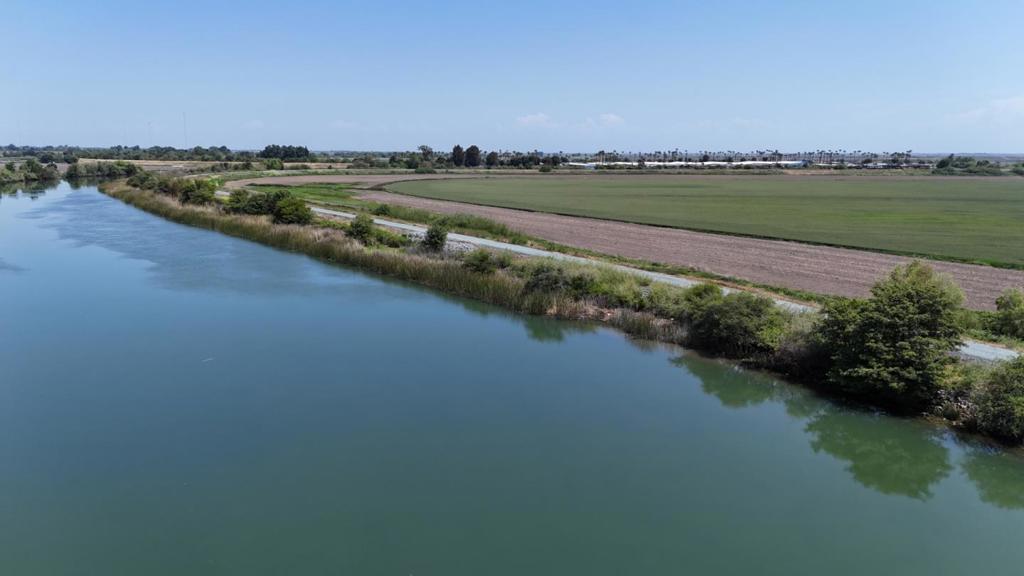 Photo of Listing #ML82008954