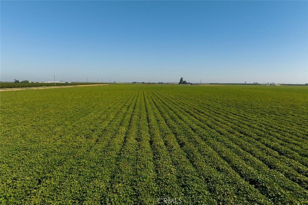 Photo of Listing #MC25120760