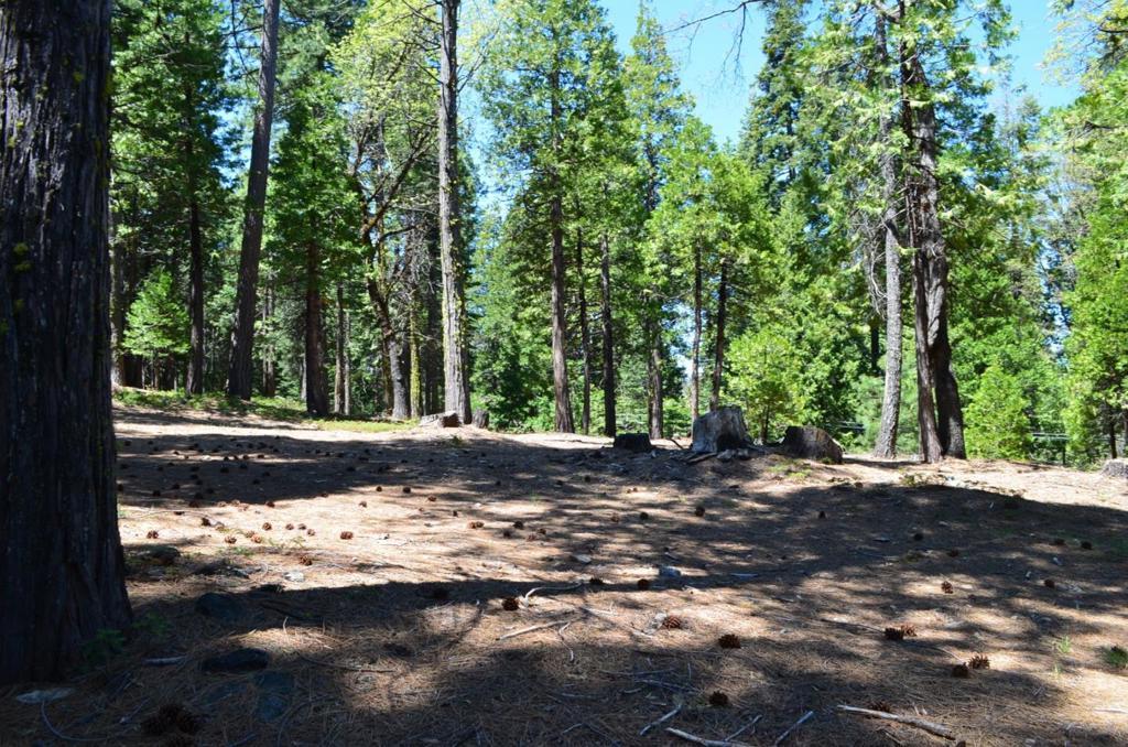 3112 Apache Road, Dorrington