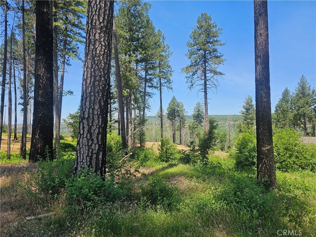 Photo of Listing #SN25114581