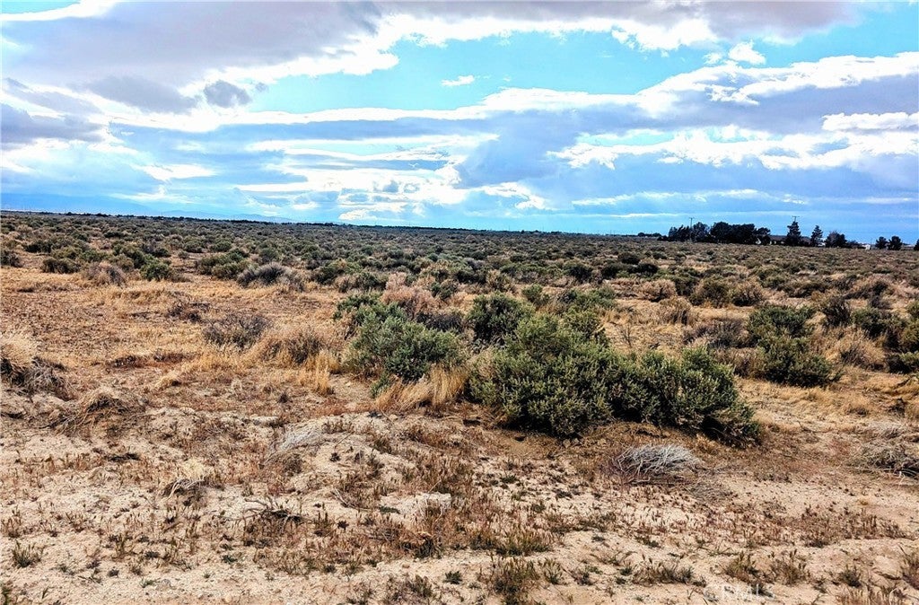 Photo of Listing #SR25121695