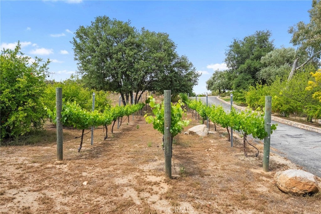 Photo of Listing #SW25118114