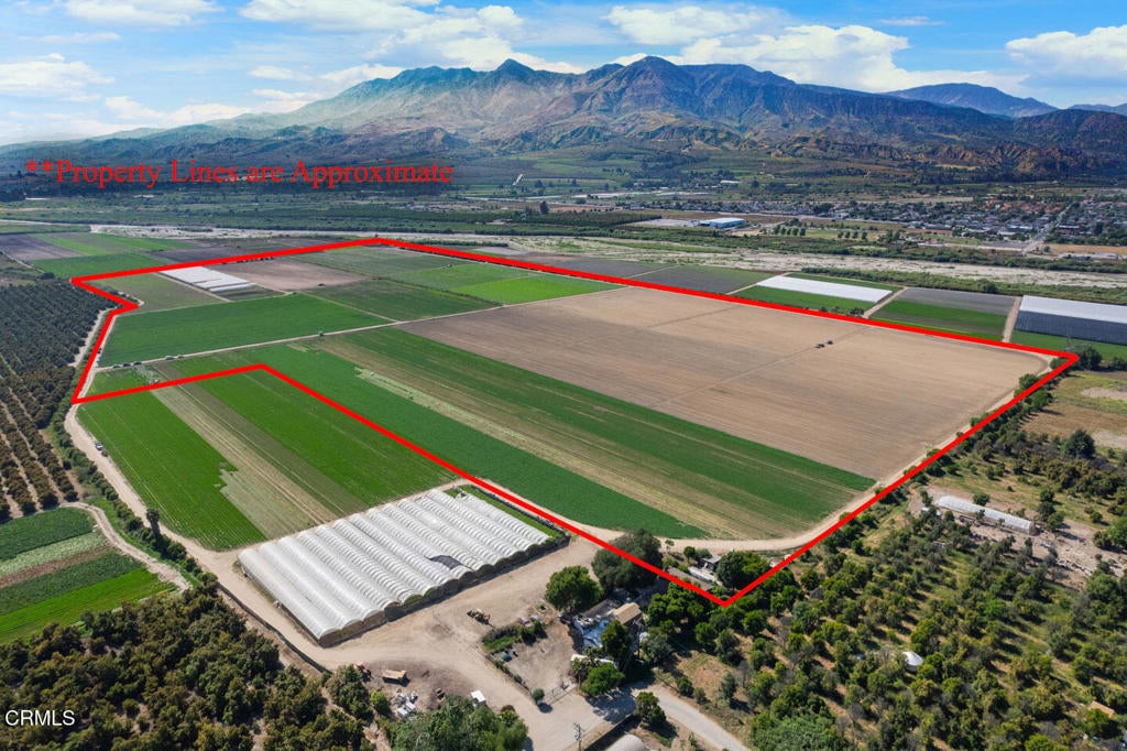 Photo of Listing #V1-30346