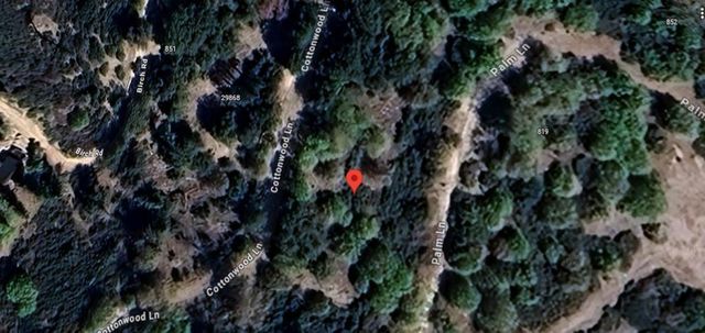 29865 Hickory Drive, Cedar Glen