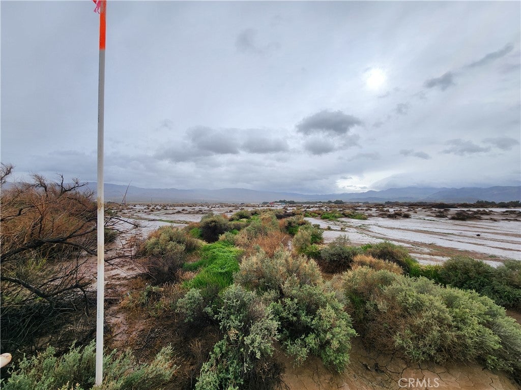 Photo of Listing #HD25124376