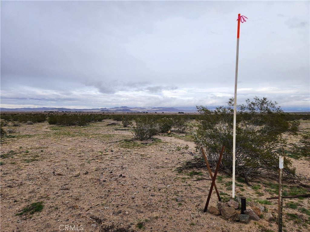 Photo of Listing #HD25124387