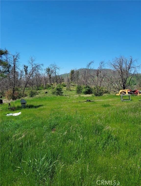 Photo of Listing #MC25126005