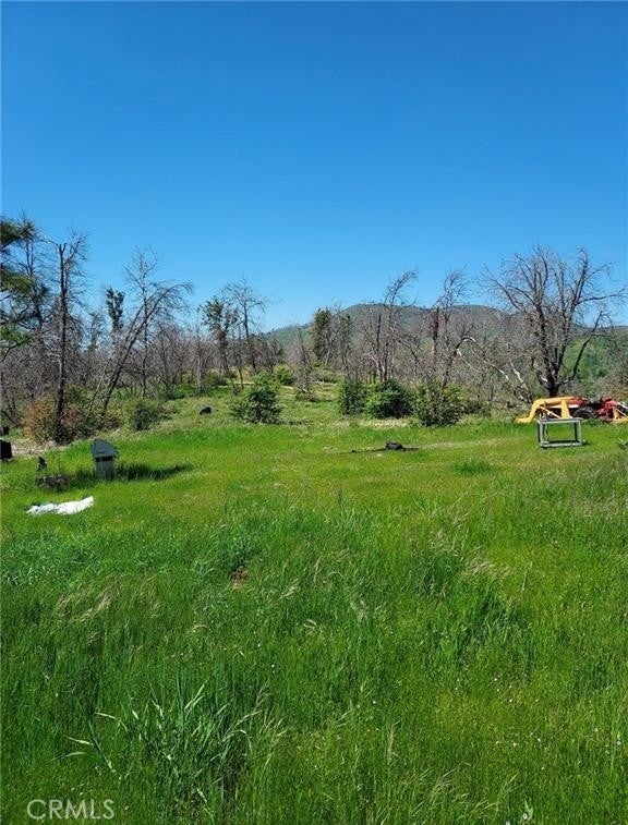 Photo of Listing #MC25126005