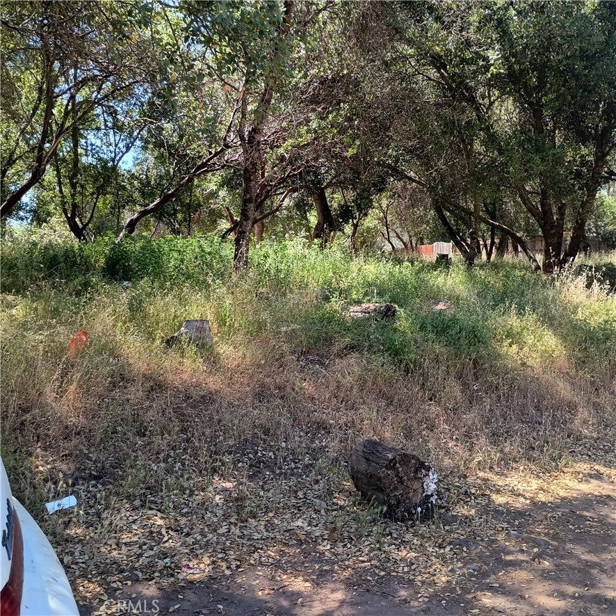 Photo of Listing #LC25126603