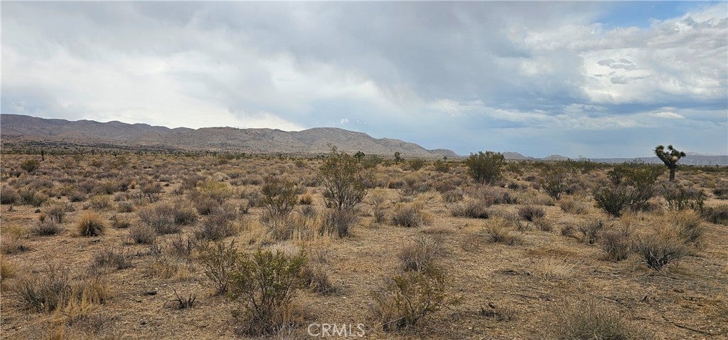 Photo of Listing #SR25127065