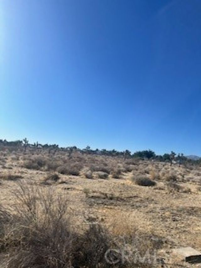 Pine Tree Road, Pinon Hills