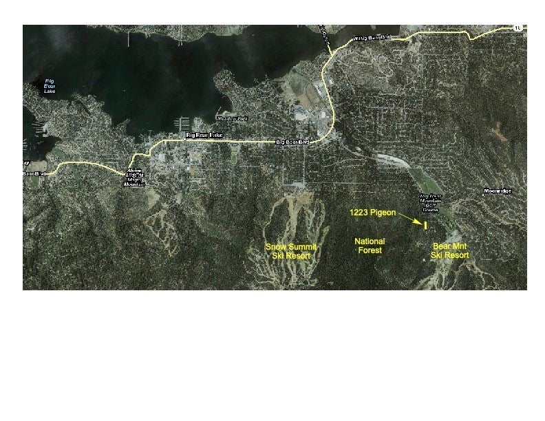 1223 Pigeon, Big Bear Lake
