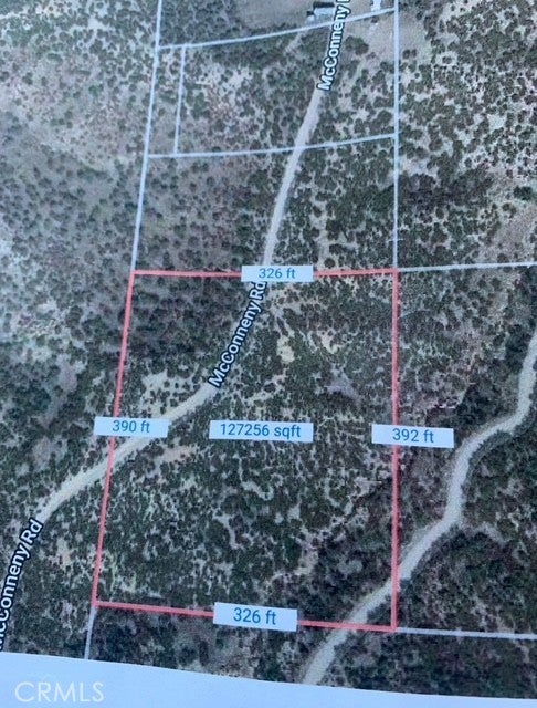 Photo of Listing #IG25128585