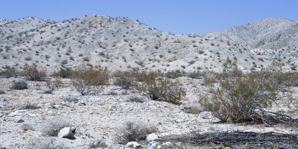 1 Camino Zangiri, Desert Hot Springs