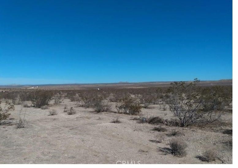 Photo of Listing #HD25129656