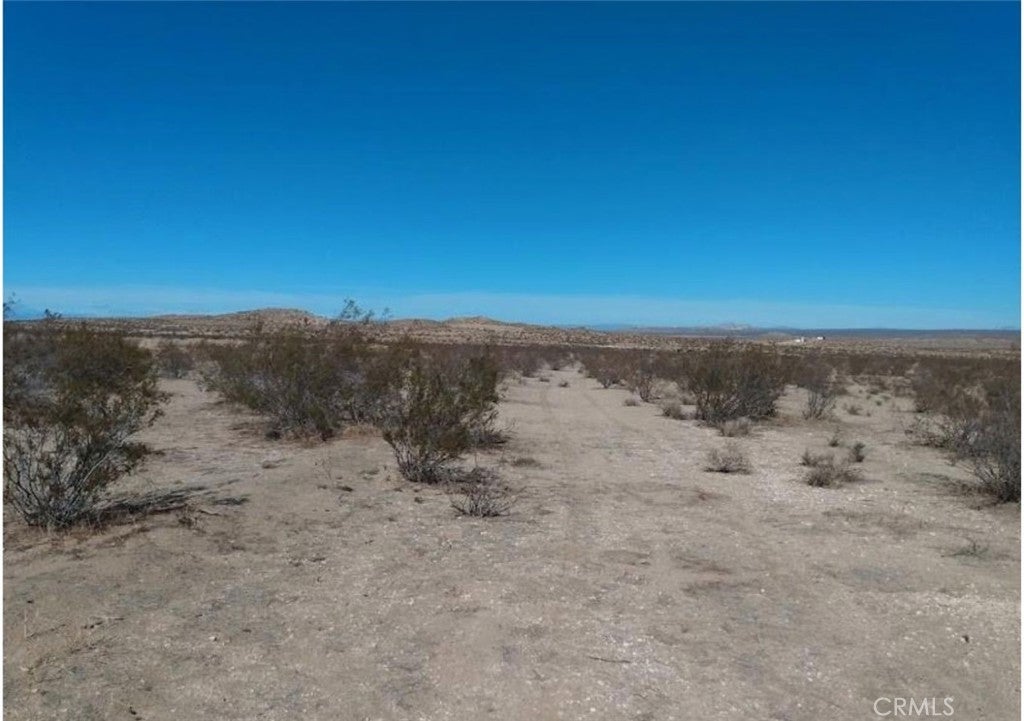 Photo of Listing #HD25129659