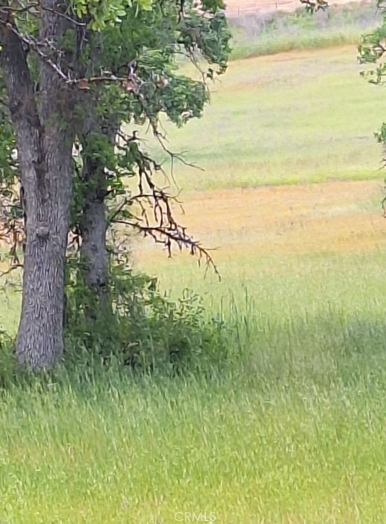 Photo of Listing #LC25131709