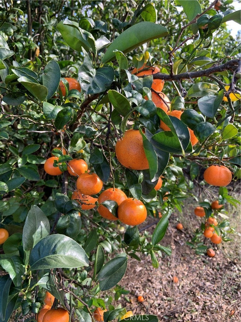 45860 Calle Cuero, Temecula