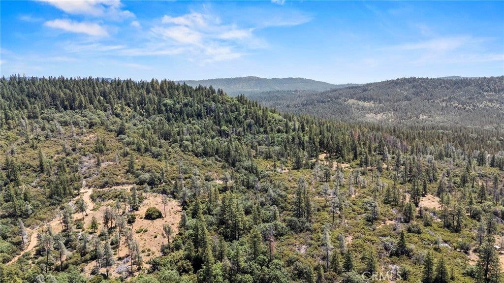 Photo of Listing #OR25131814