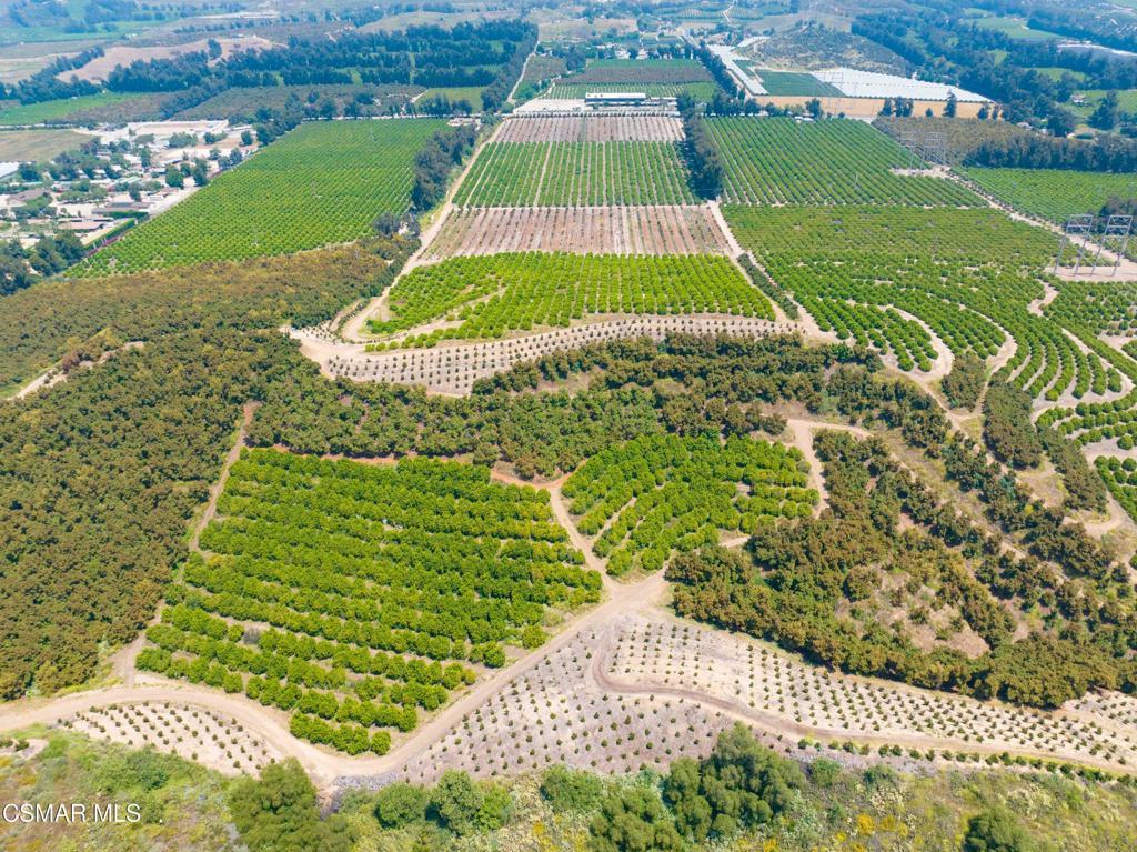 Photo of Listing #225002945