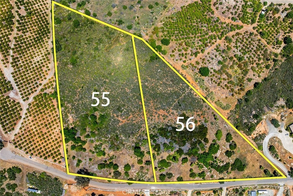 Photo of Listing #SW25130076