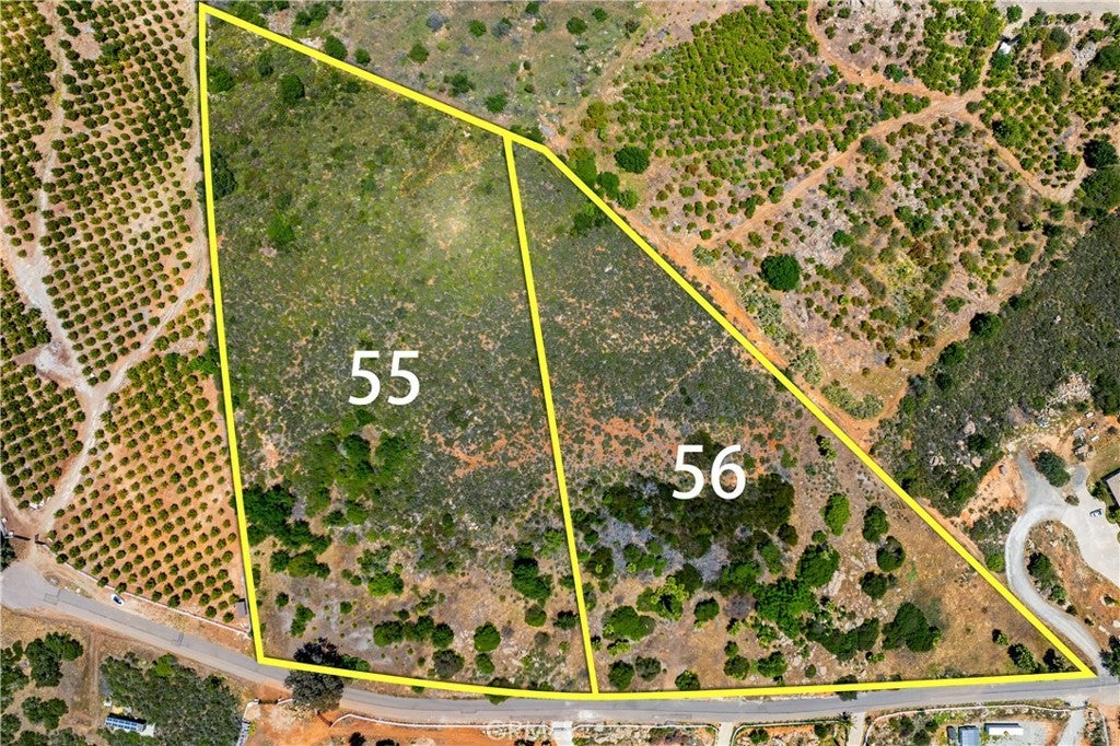 Photo of Listing #SW25130077