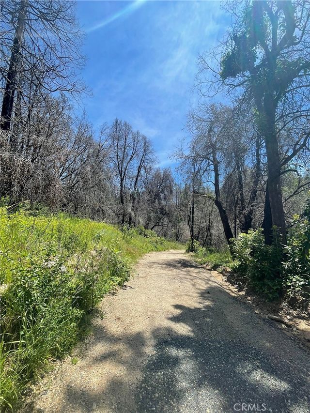 180 Mirage Lake Road, Berry Creek