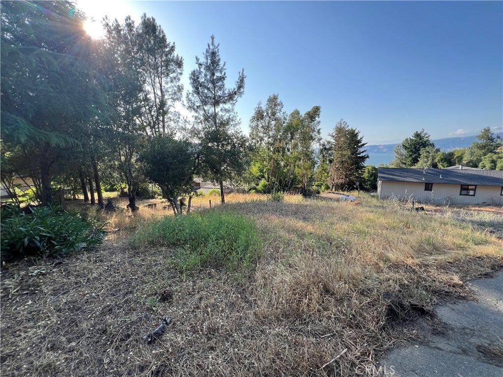 Photo of Listing #LC25134156