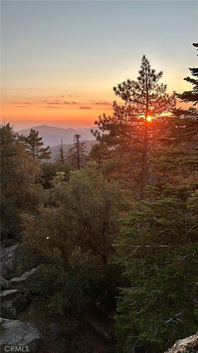 Photo of Listing #HD25134706