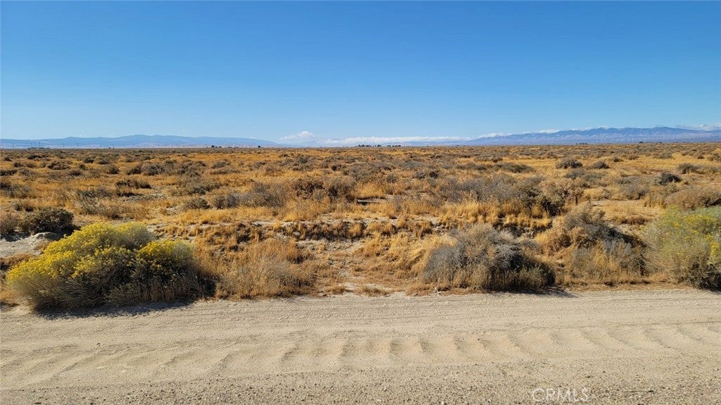 Photo of Listing #SR25135950