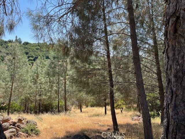 Photo of Listing #LC25136078