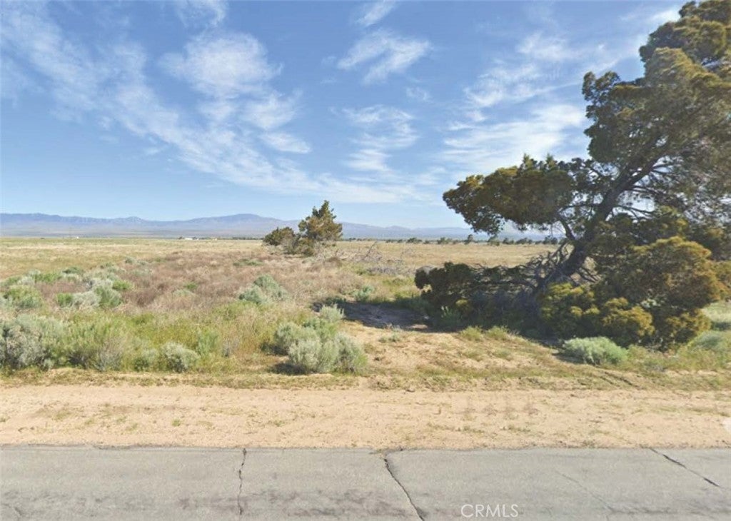 Photo of Listing #SR25136095