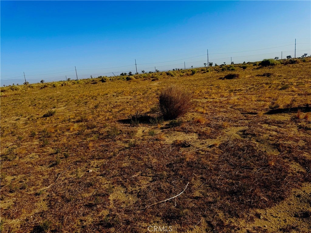 Photo of Listing #HD25136304