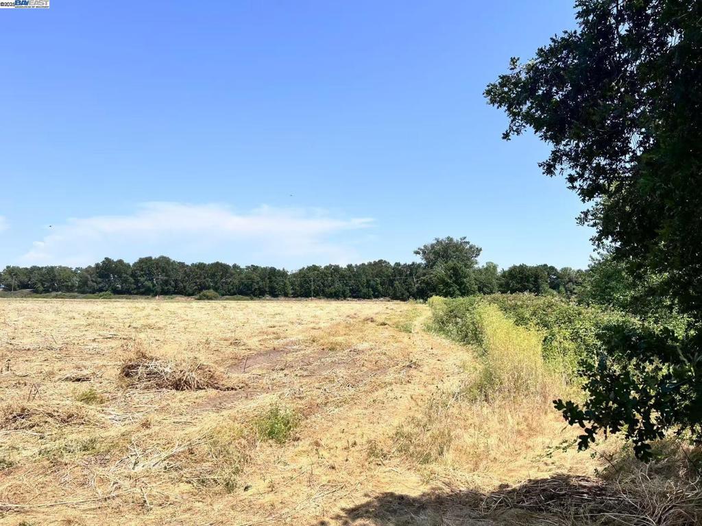 Photo of Listing #41101768