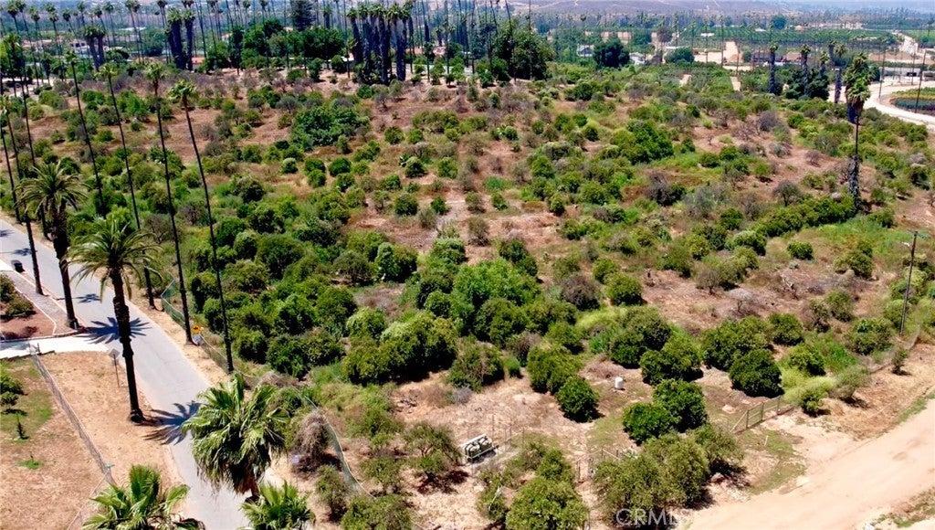 Photo of Listing #IV25128996