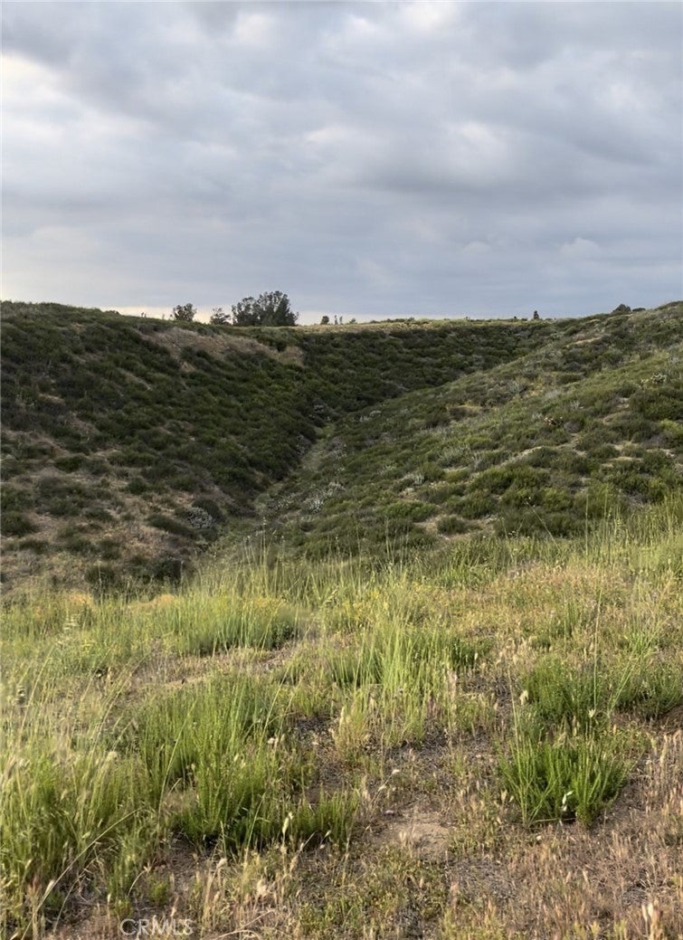 Photo of Listing #CV25137915