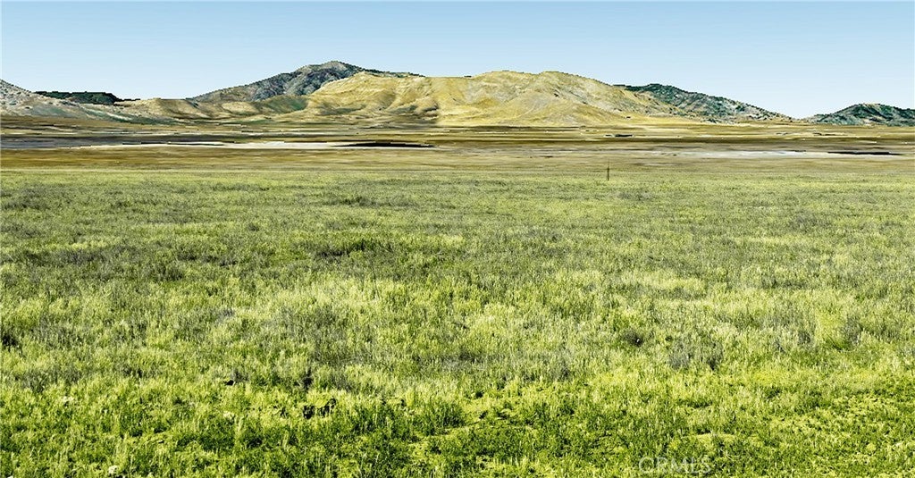 Photo of Listing #PI25138383