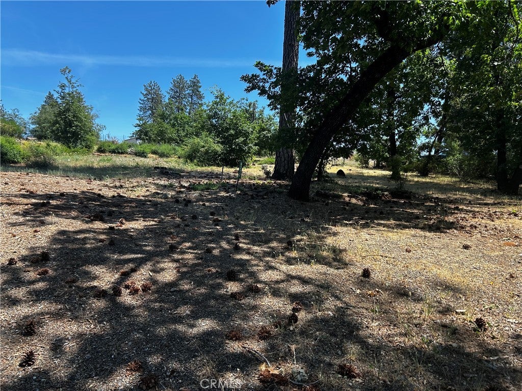 Photo of Listing #SN25122690