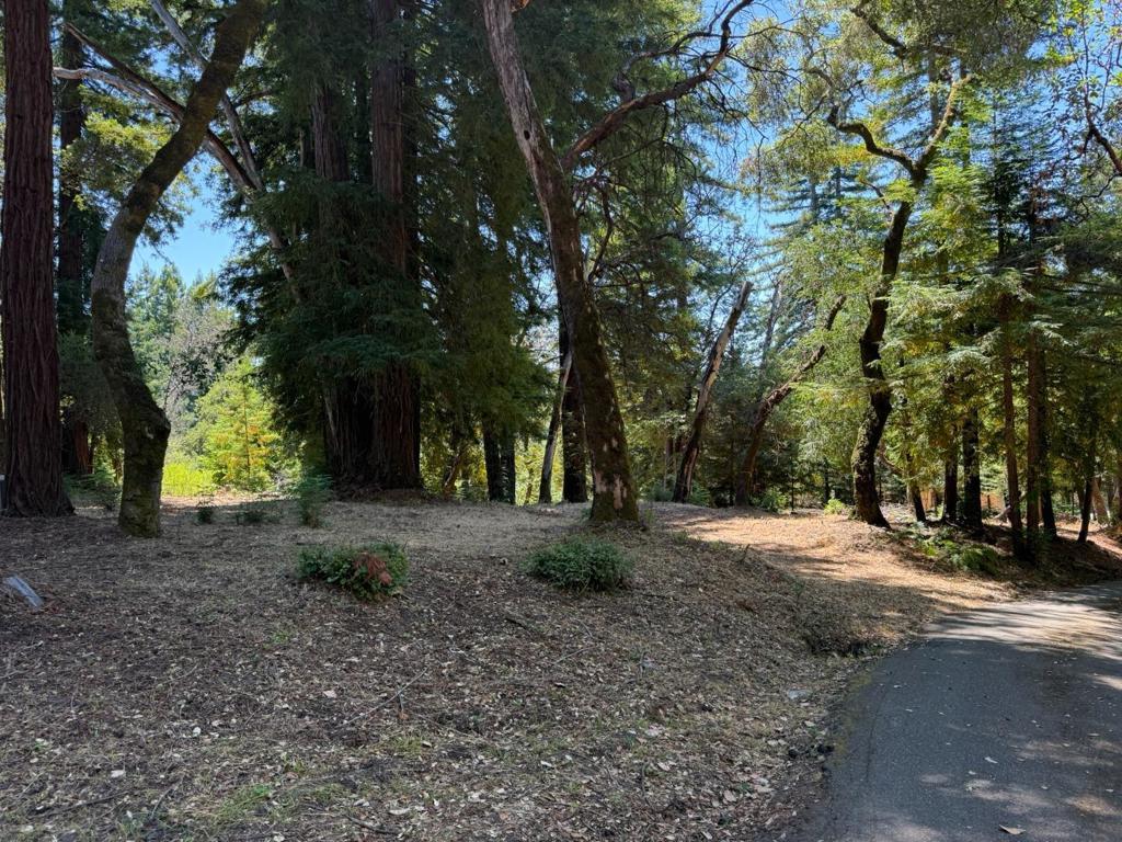 Photo of Listing #ML82011850