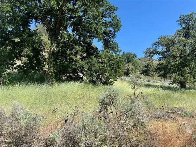 Butterfield Way, Bear Valley Springs