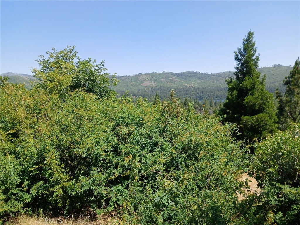 Photo of Listing #OR25139594