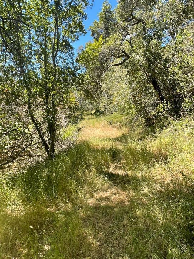 Crystal Springs Rd, Hillsborough