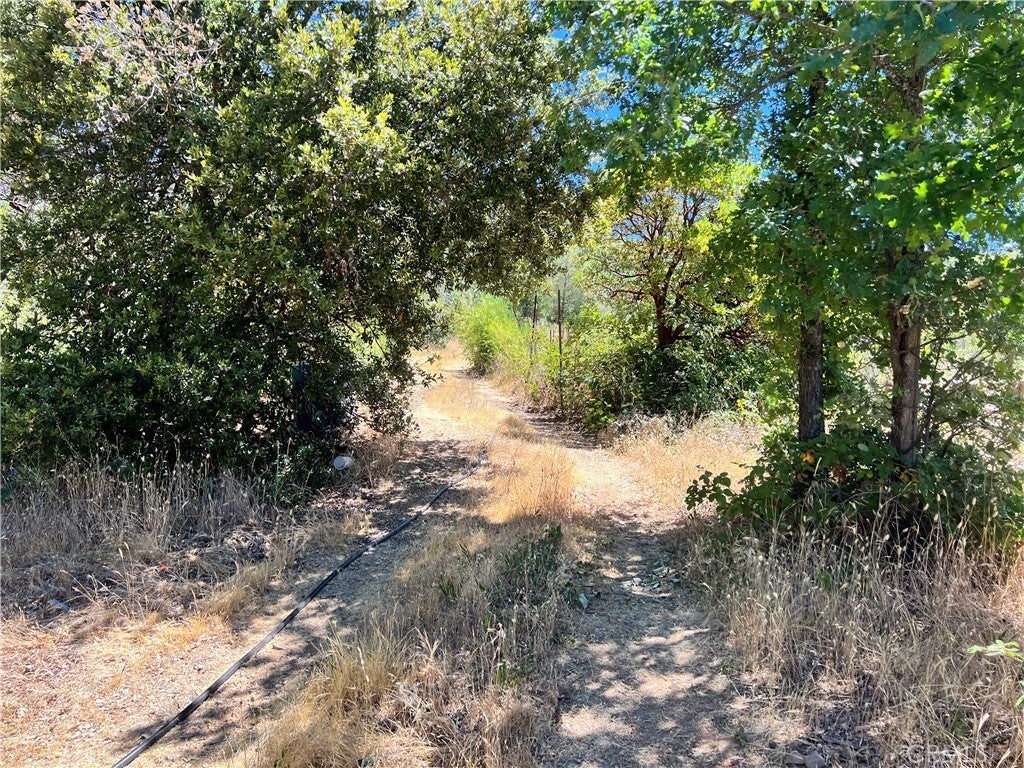 Photo of Listing #LC25140341