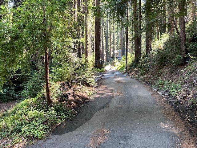 141 Leafwood Drive, Boulder Creek