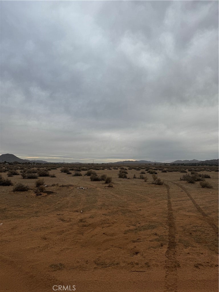 Photo of Listing #HD25140655