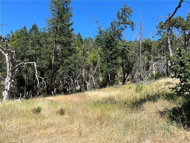 20925 Mid Mountain (17n17 Usfs) Road, Upper Lake