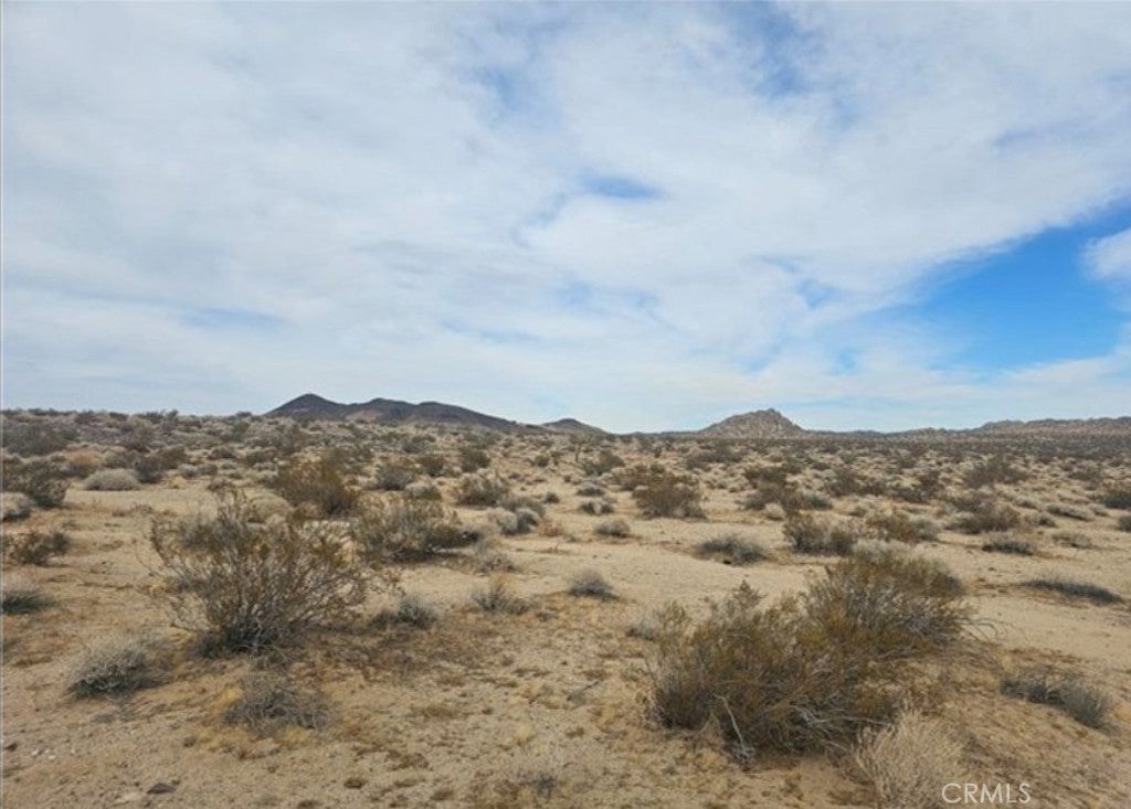 Photo of Listing #CV25140906