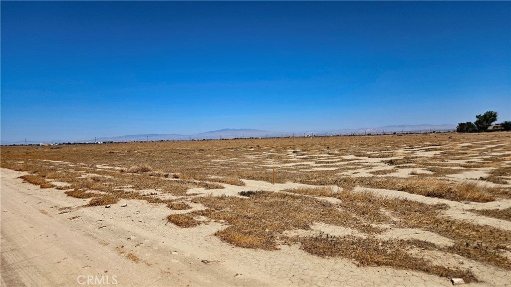 Photo of Listing #SR25142055